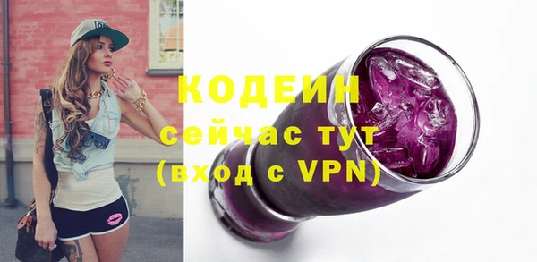 дживик Абаза