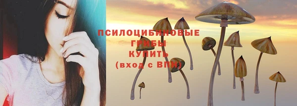 дживик Абаза
