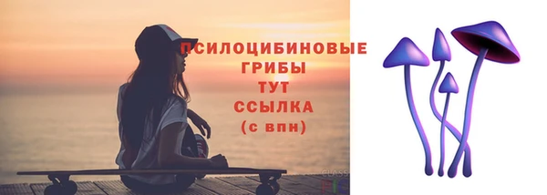 амф Абинск