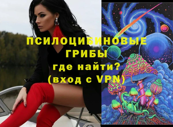 сатива Новозыбков