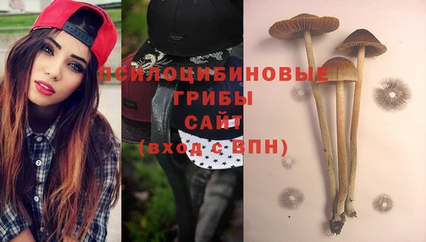 эйфоретик Новокубанск