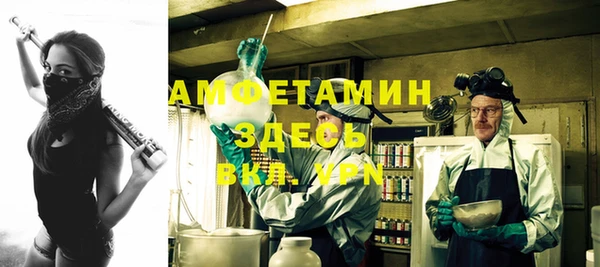 дживик Абаза