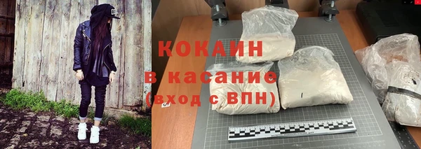 дживик Абаза