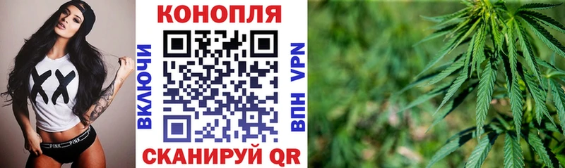 где купить наркоту  Разумное  Бошки марихуана конопля 